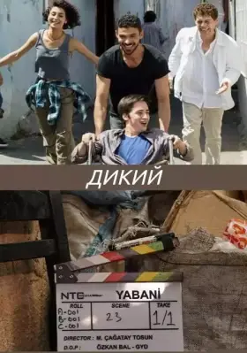 Дикий