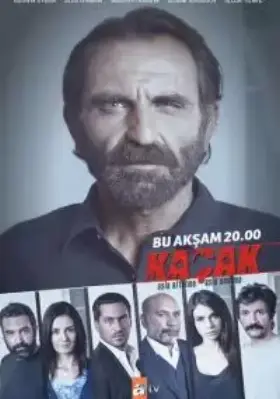Беглец (2013)
